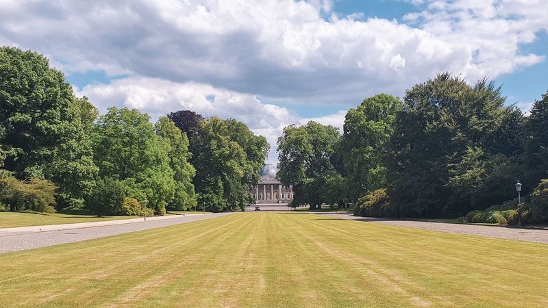 Open Manicured Lawns Offer Them Nothing Open Manicured Lawns Offer Them Nothing