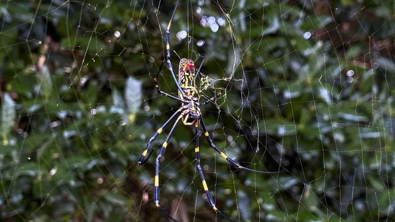 Open Spaces Make Web Building Easier