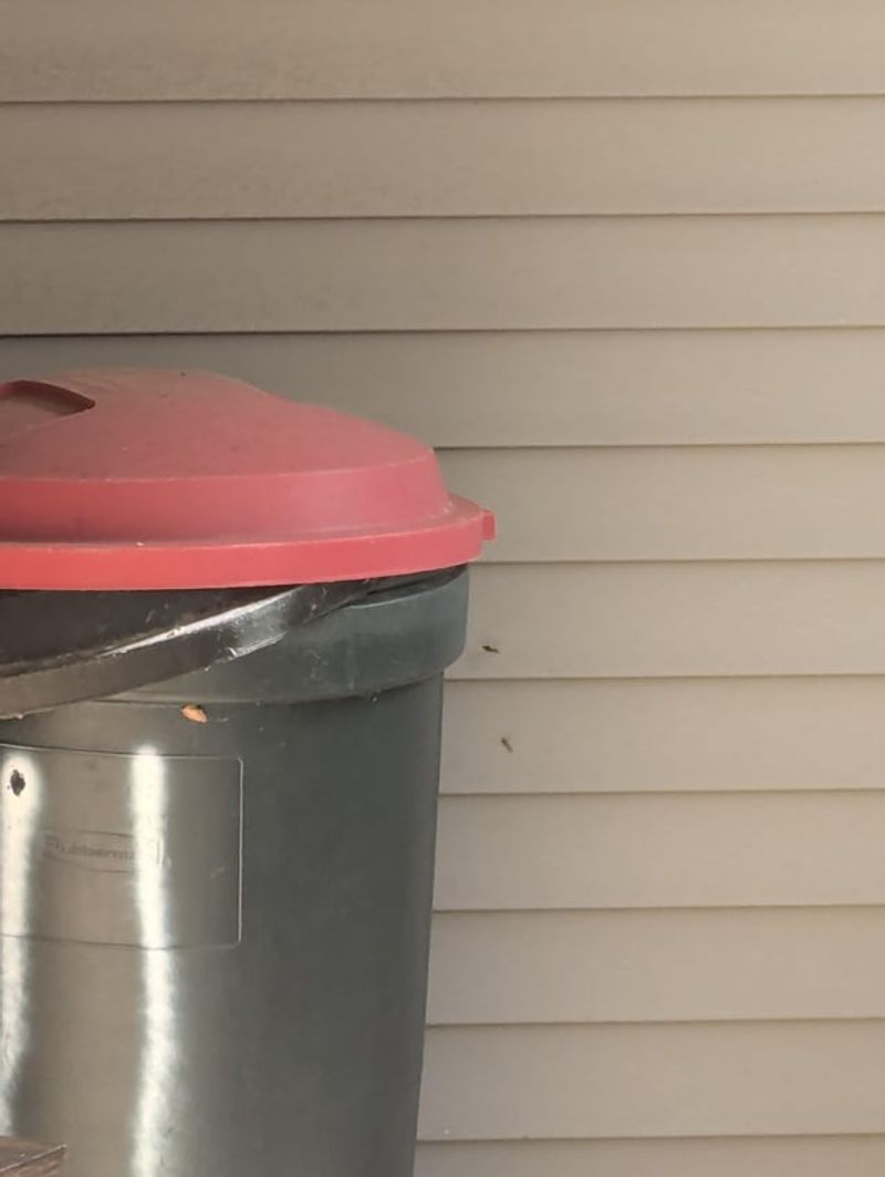 Open Trash Makes Porches More Inviting