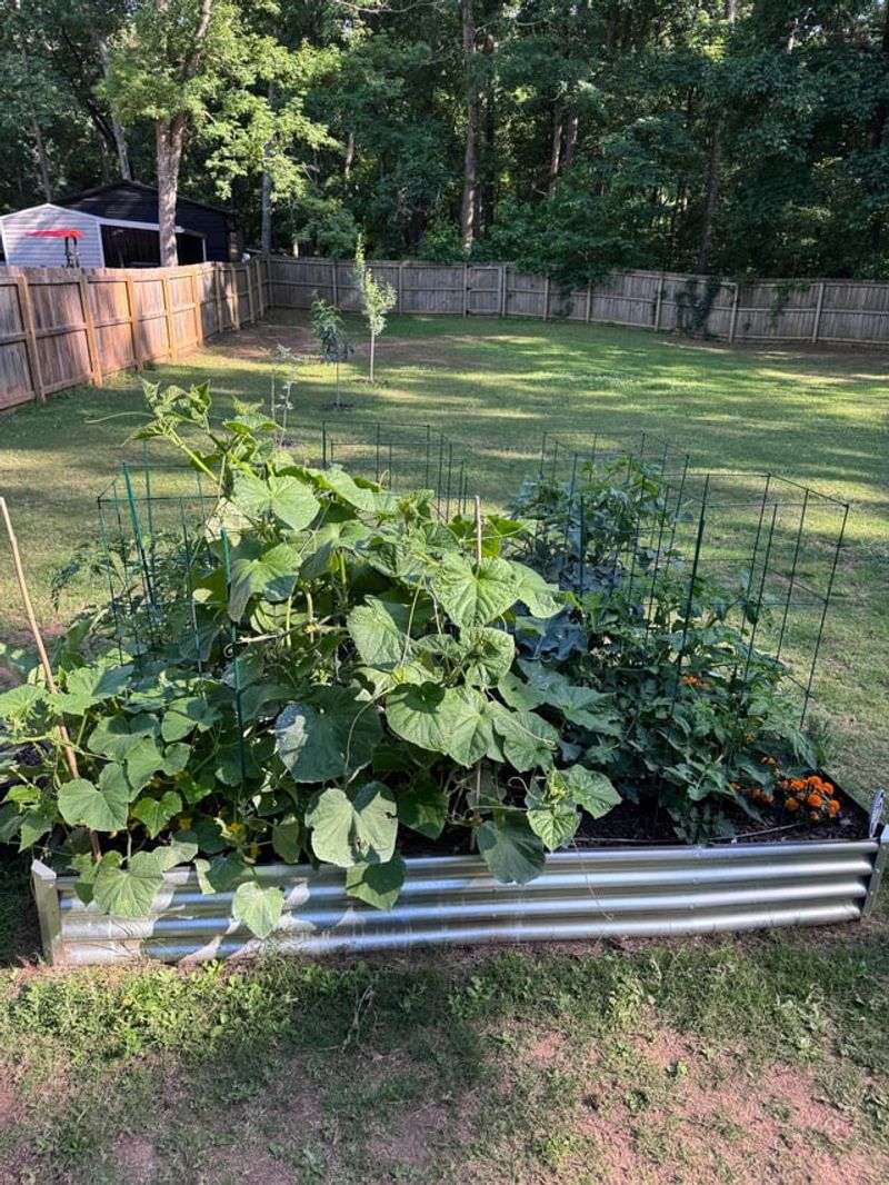 Open Up Crowded Growth In July Open Up Crowded Growth In July