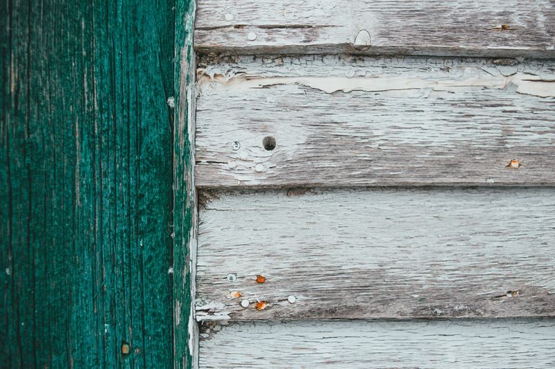 Opt For Algae-Resistant Siding When Replacing Opt For Algae-Resistant Siding When Replacing