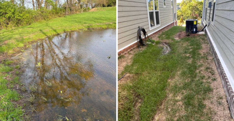 Oregon Gardeners Should Know These Runoff Rules Before Reworking The Yard