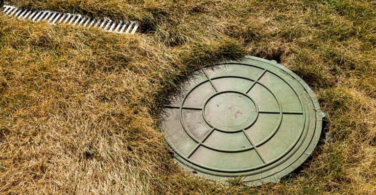 Oregon Septic Drain Fields Have These 8 Planting Rules Homeowners Should Know