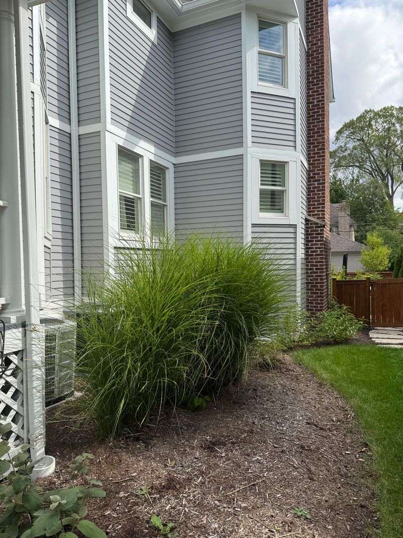 Ornamental Grasses Shed Dry Blades Into Vents Ornamental Grasses Shed Dry Blades Into Vents