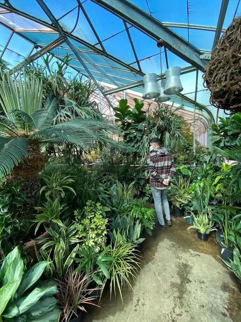 Ott's Exotic Plants - Schwenksville