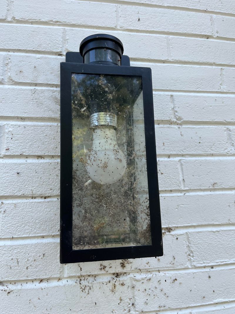 Outdoor Lights Attract Flying Insects