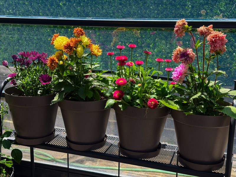 Outdoor Pots Need Drainage And Airflow Outdoor Pots Need Drainage And Airflow