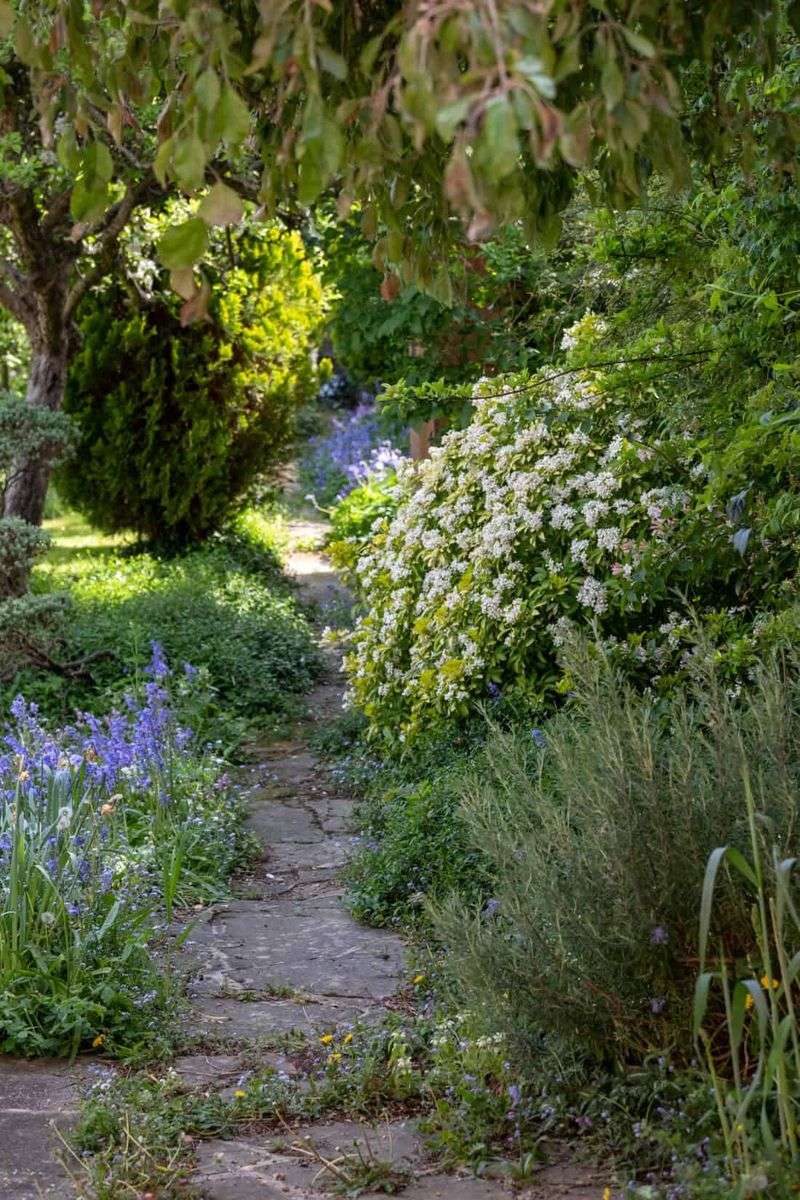 Overgrown Dense Vegetation Around The Perimeter Overgrown Dense Vegetation Around The Perimeter