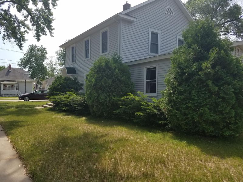 Overgrown Shrubs Touching The House Overgrown Shrubs Touching The House