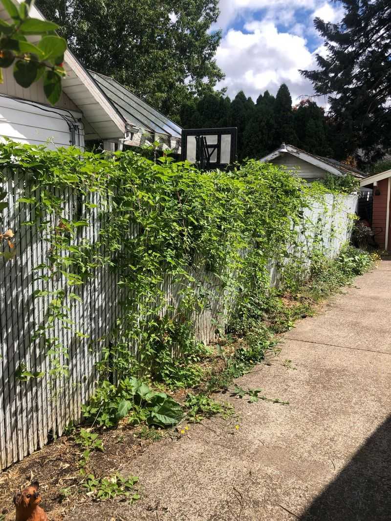 Overgrowth Onto Their Side Can Be Trimmed Overgrowth Onto Their Side Can Be Trimmed