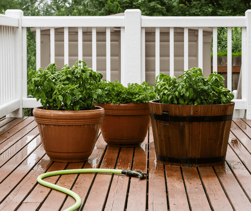 Overwatering Keeps Patio Areas Too Wet Overwatering Keeps Patio Areas Too Wet