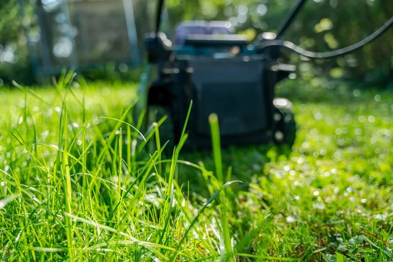 Pair Better Mowing With Fall Lawn Repair Pair Better Mowing With Fall Lawn Repair