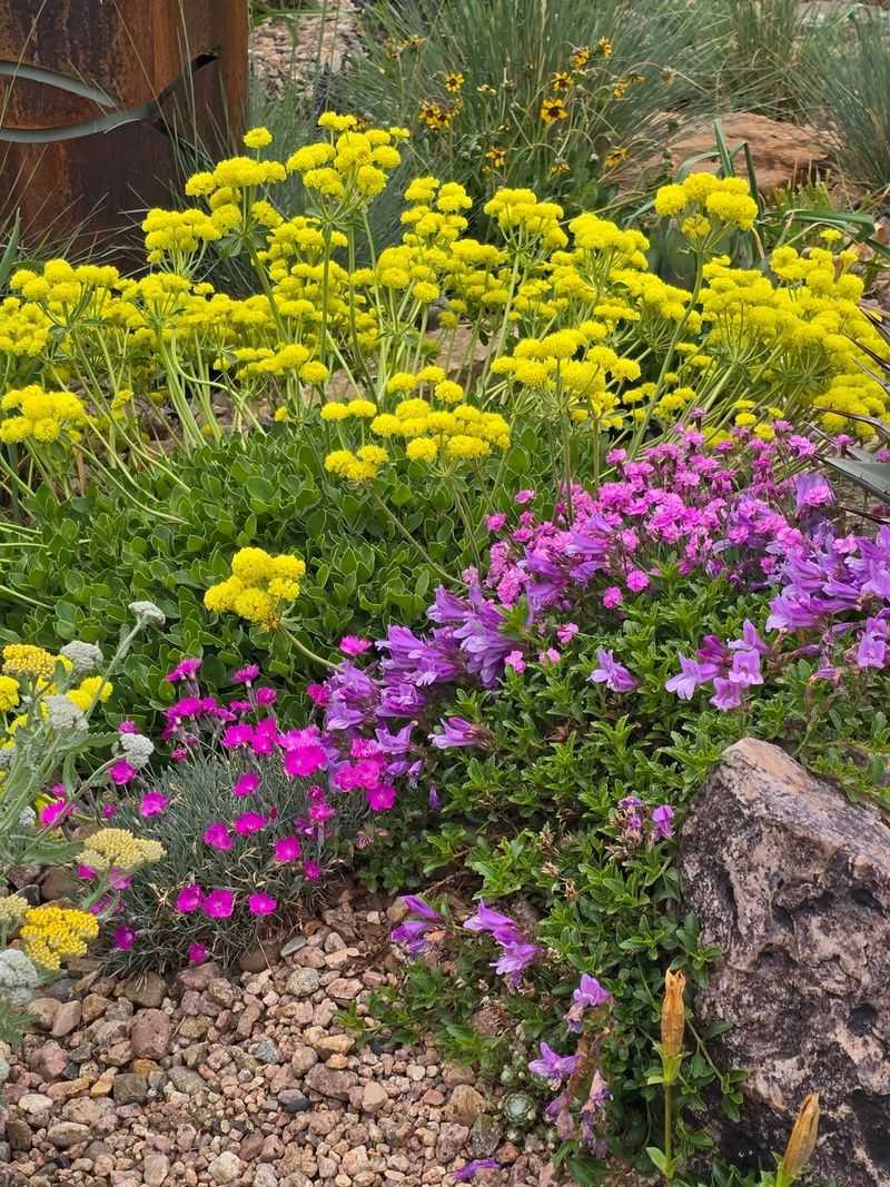 Pair It With Other Low-Water Plants