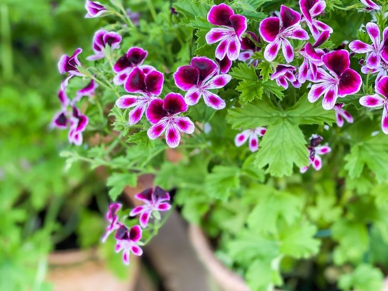 Pair It With Wasp Prevention Pair It With Wasp Prevention