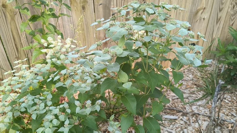 Pair The Pot With A Dry Open Patio Edge Pair The Pot With A Dry Open Patio Edge