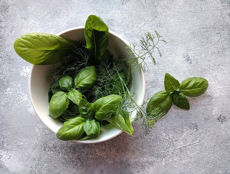 Pairing It With Other Herbs Builds A Stronger Barrier