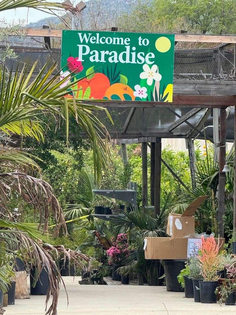 Paradise Nursery — Chatsworth