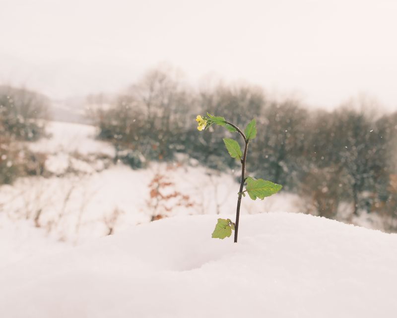 Patience Takes Years, Not Seasons Patience Takes Years, Not Seasons