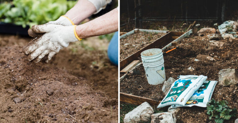 Pennsylvania Gardeners Are Quietly Adding This To Heavy Clay Soil Before Heavy Rain
