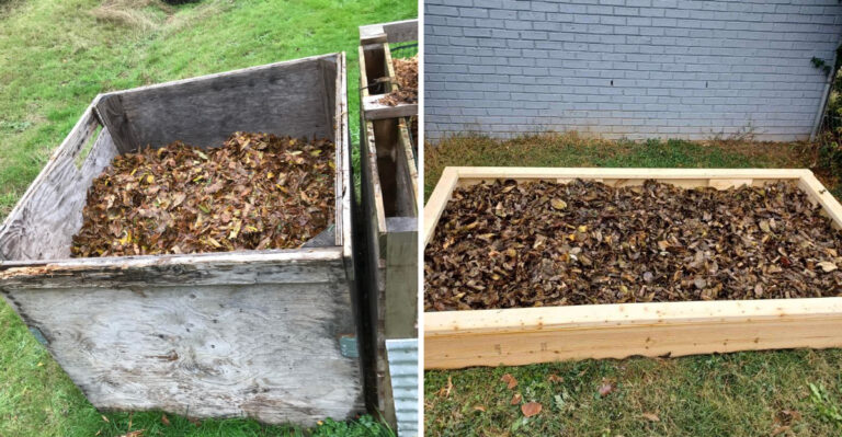 Pennsylvania Gardeners Are Quietly Prepping Their Soil With This Native Amendment