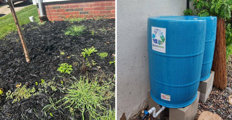 Pennsylvania Gardeners Should Take These Steps While Drought Conditions Continue