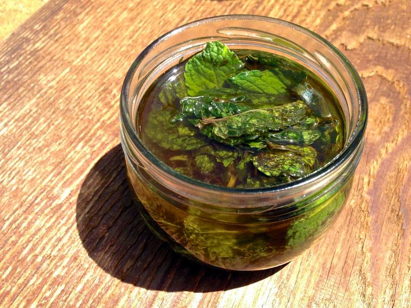 Peppermint Oil Around Pots And Entry Points