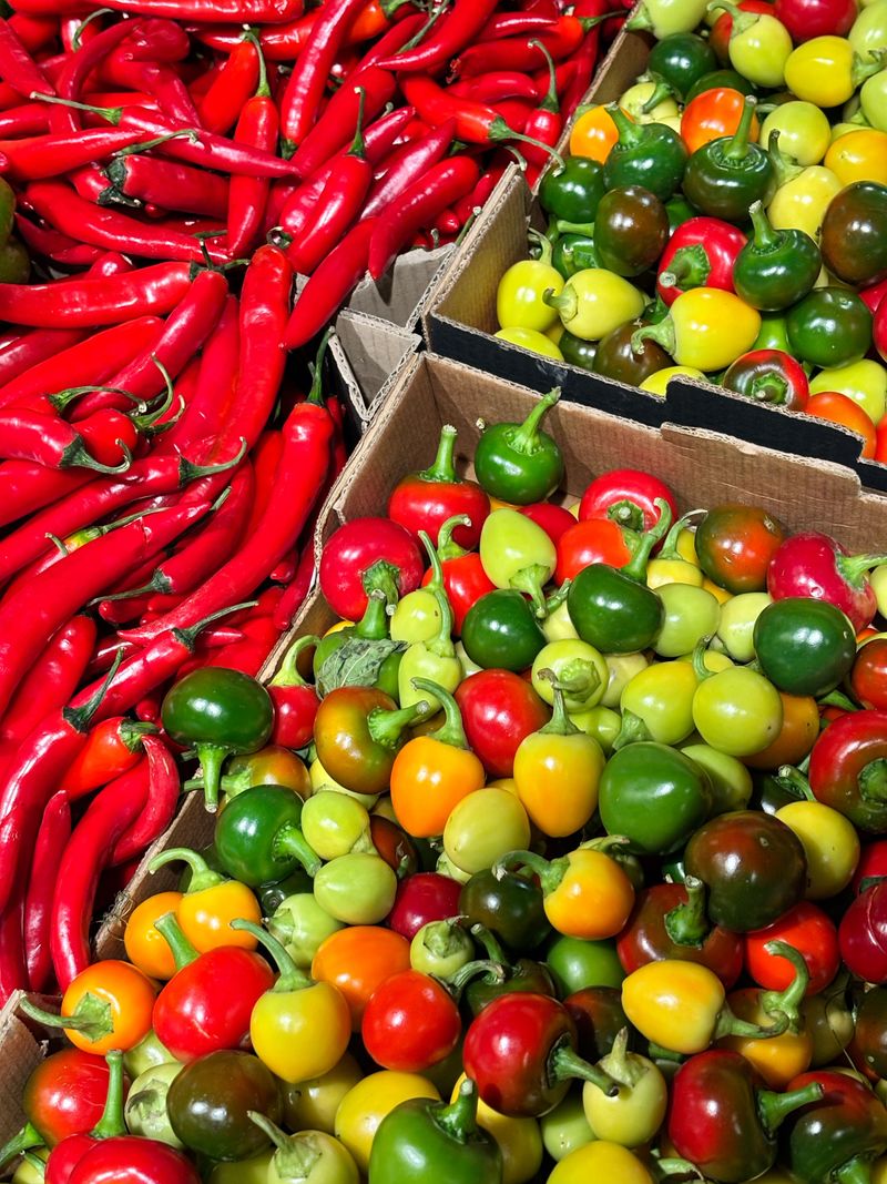 Peppers (Bell And Hot) Peppers (Bell And Hot)