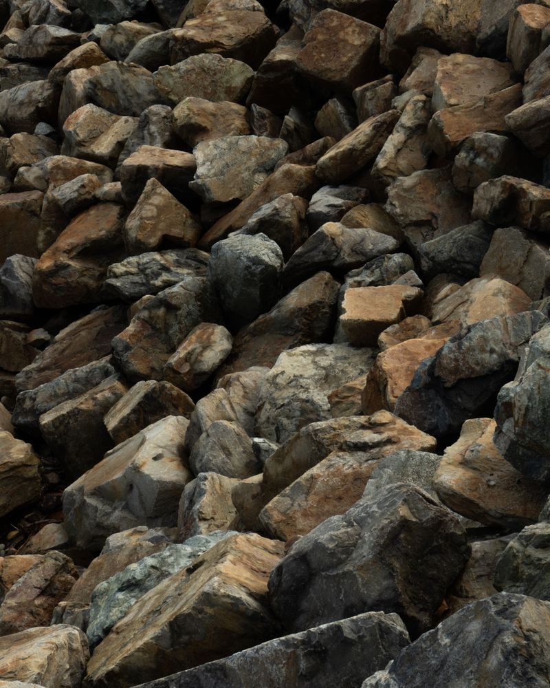 Piles Of Rocks Or Landscaping Timbers Left Unmoved Piles Of Rocks Or Landscaping Timbers Left Unmoved