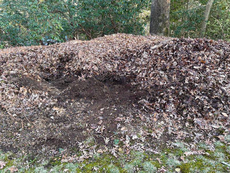Piling Leaves Along Wet Edges Piling Leaves Along Wet Edges