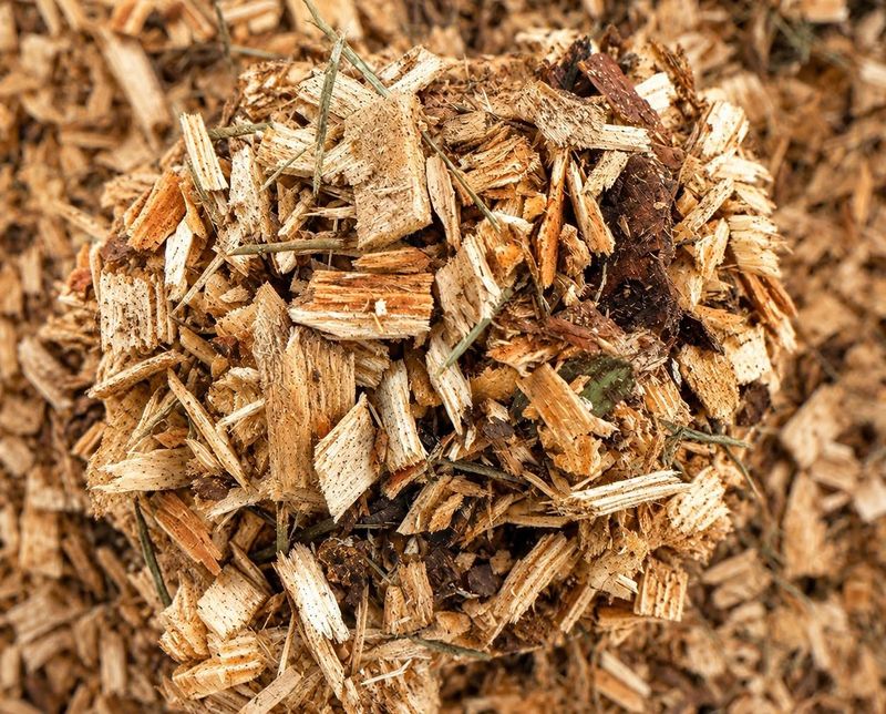 Pine Bark Fines Are Safer Than Adding Small Amounts Of Sand Pine Bark Fines Are Safer Than Adding Small Amounts Of Sand