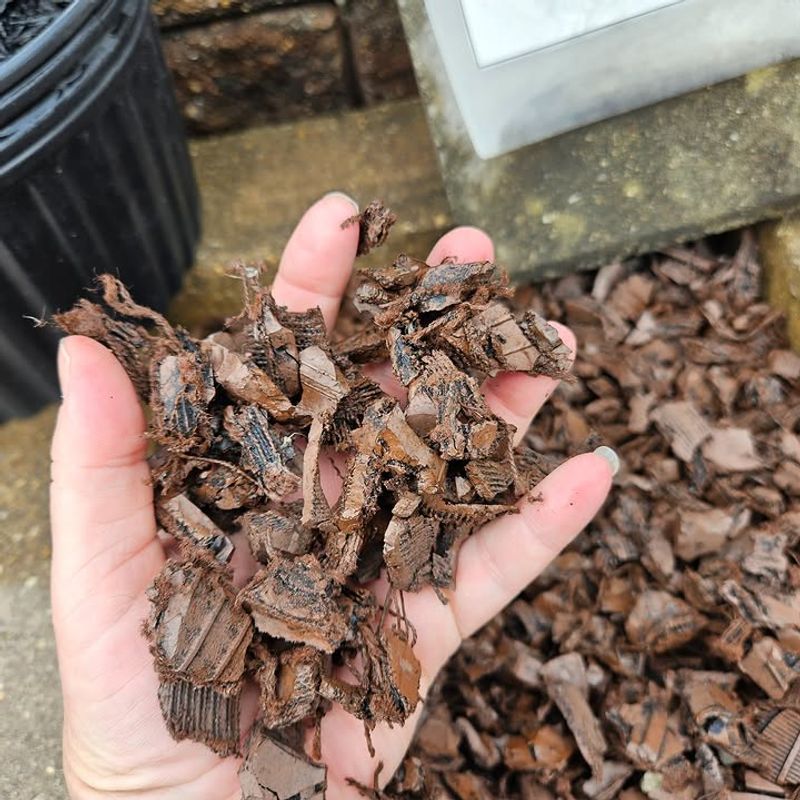 Pine Bark Helps Hold Soil Moisture Pine Bark Helps Hold Soil Moisture