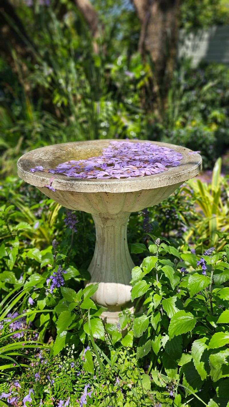 Place A Birdbath Or Garden Statue Nearby