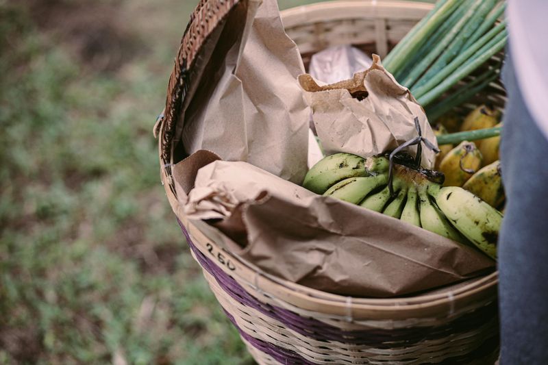 Place Harvested Tomatoes In A Bag With A Banana Place Harvested Tomatoes In A Bag With A Banana