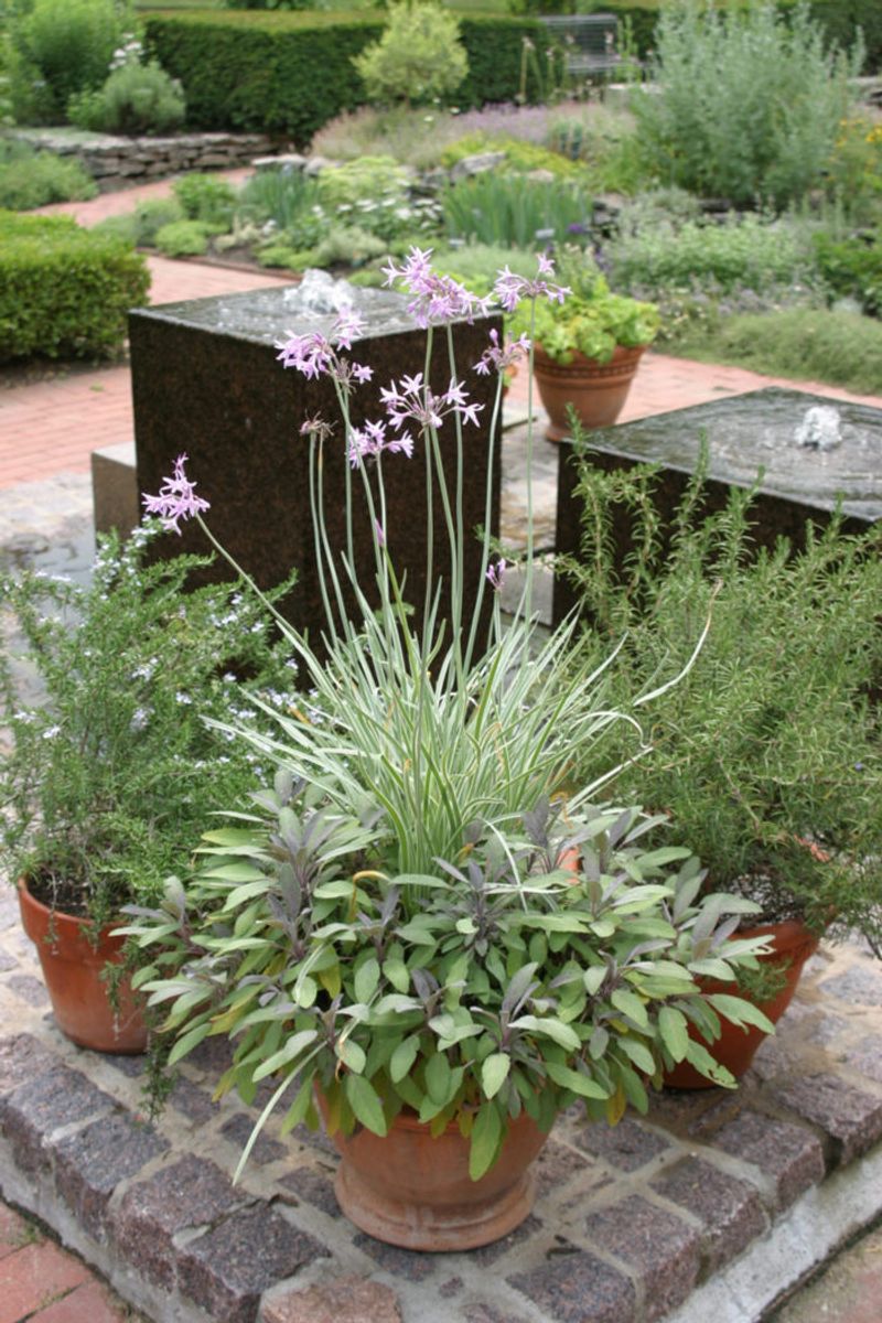 Place Pots Near Doors And Seating Areas