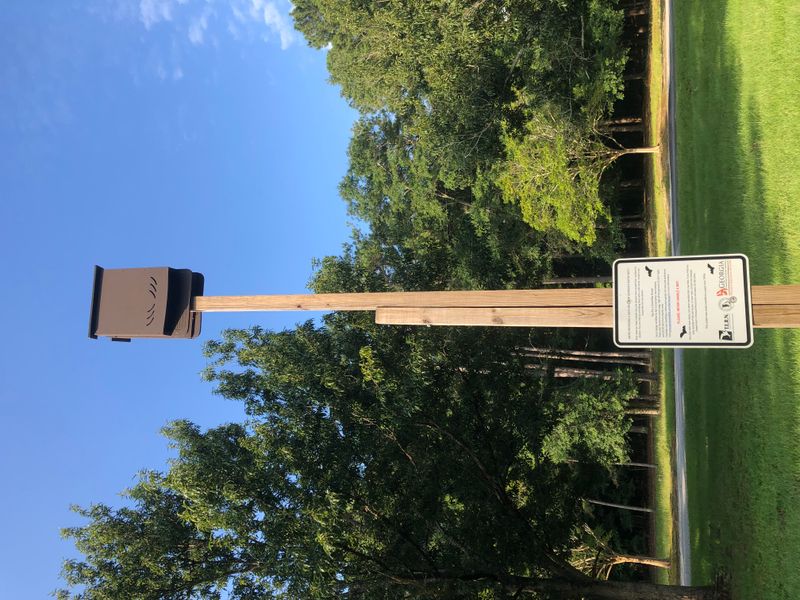 Place The Bat House For Flight And Regional Heat Place The Bat House For Flight And Regional Heat