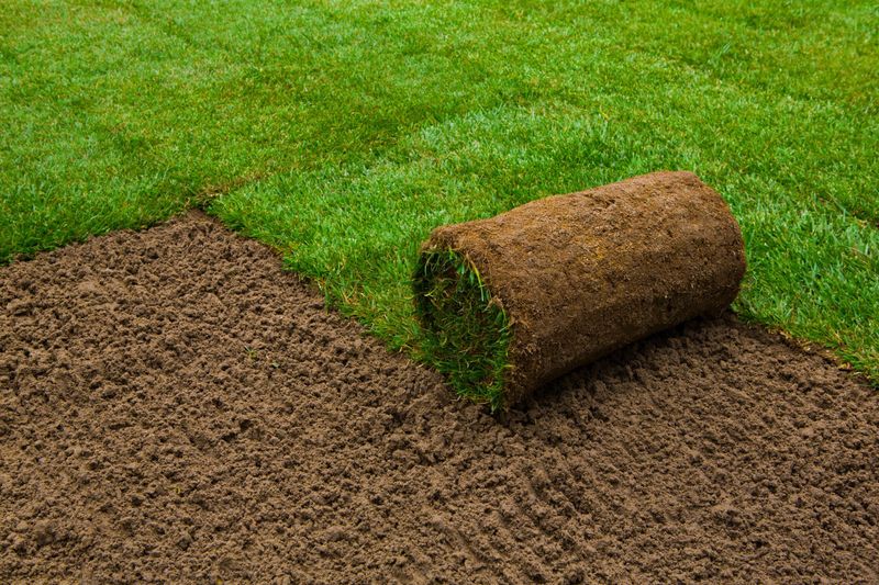 Plan A Fall Sod Project Now