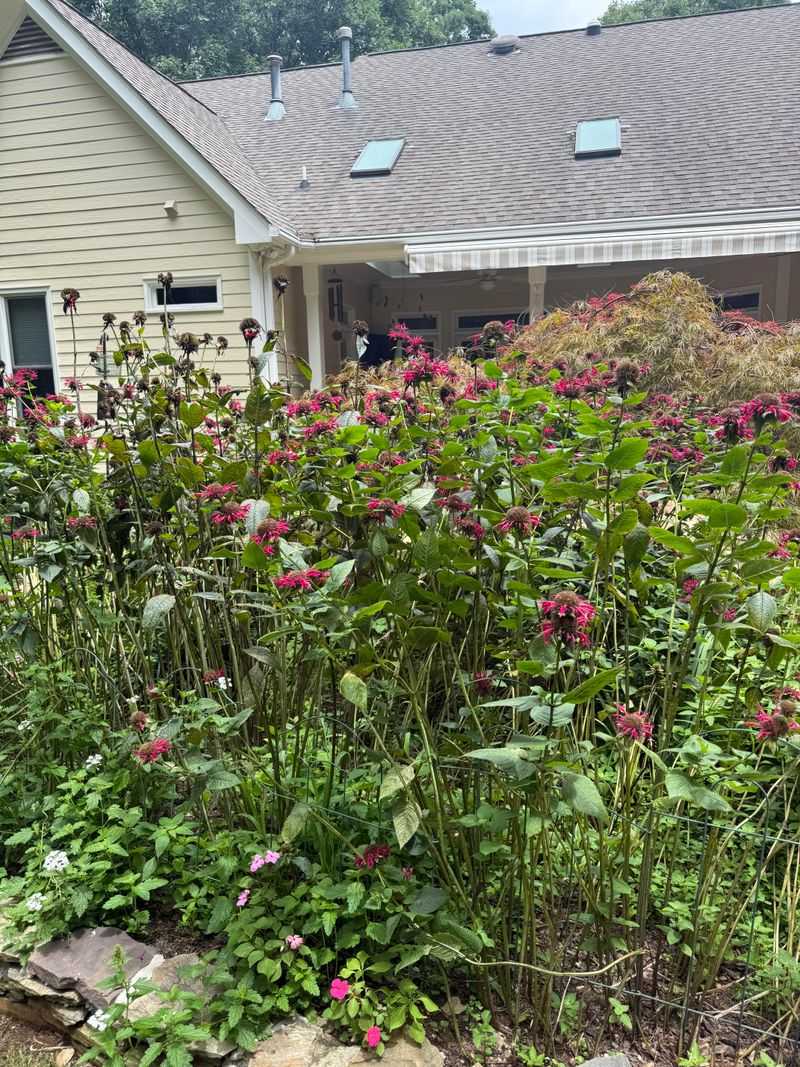 Plan A Thorough Fall Cleanup Plan A Thorough Fall Cleanup