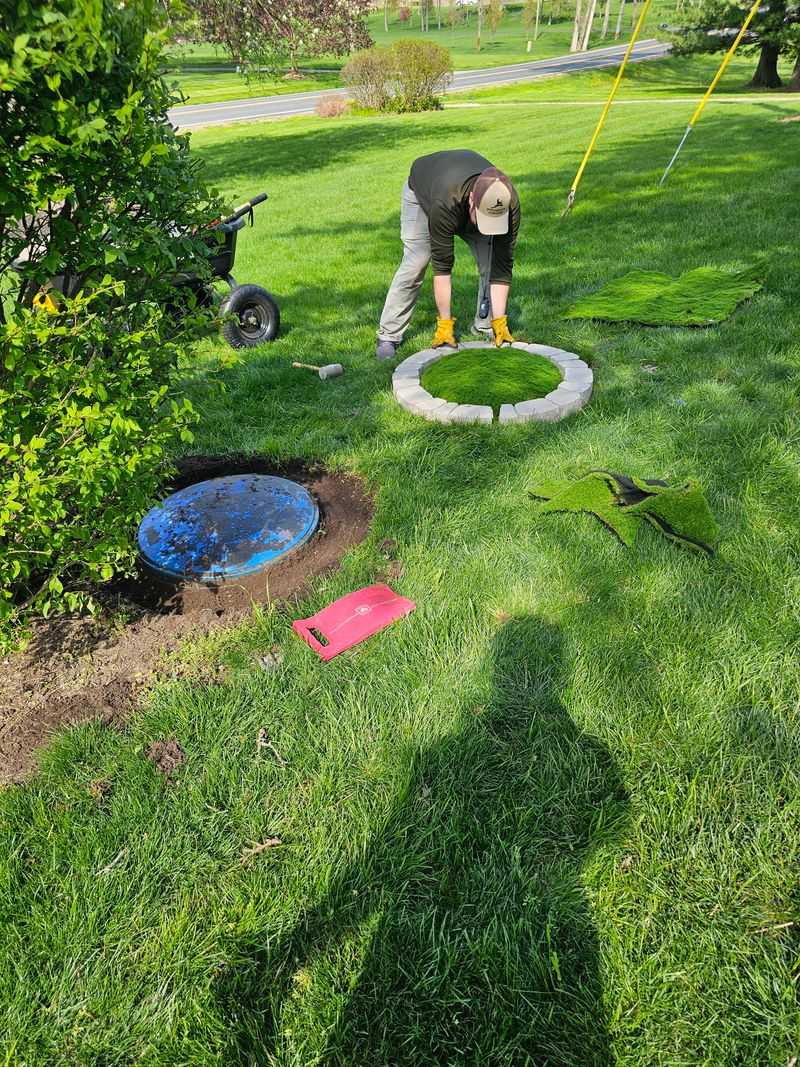 Plant Grass Or Meadow Cover Instead Plant Grass Or Meadow Cover Instead