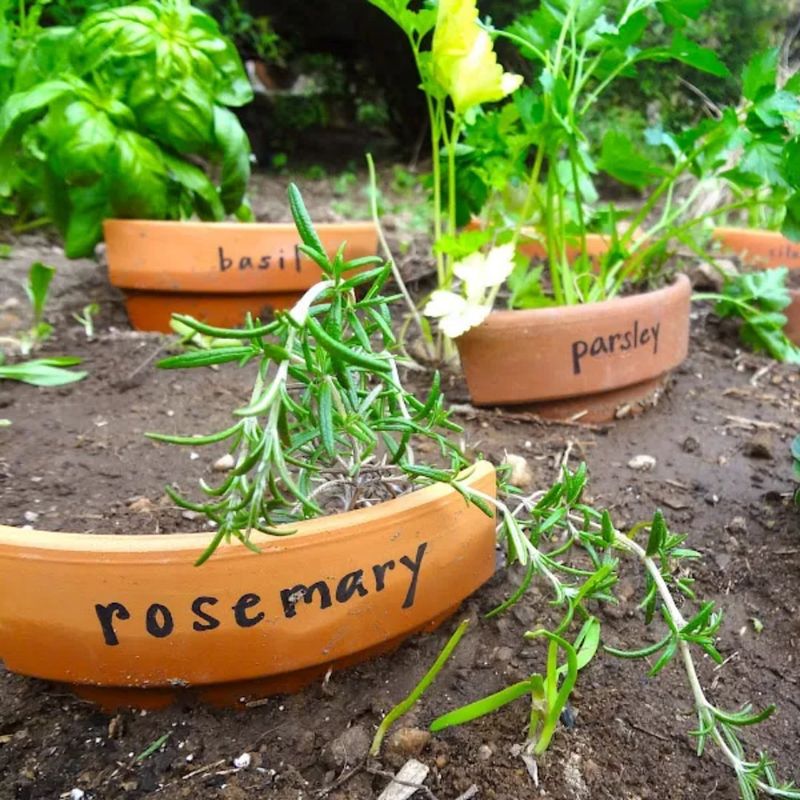 Plant Labels