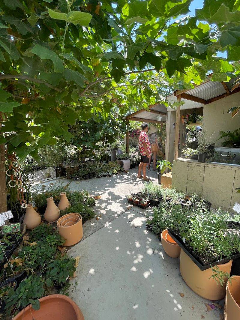 Plant Material — Los Angeles