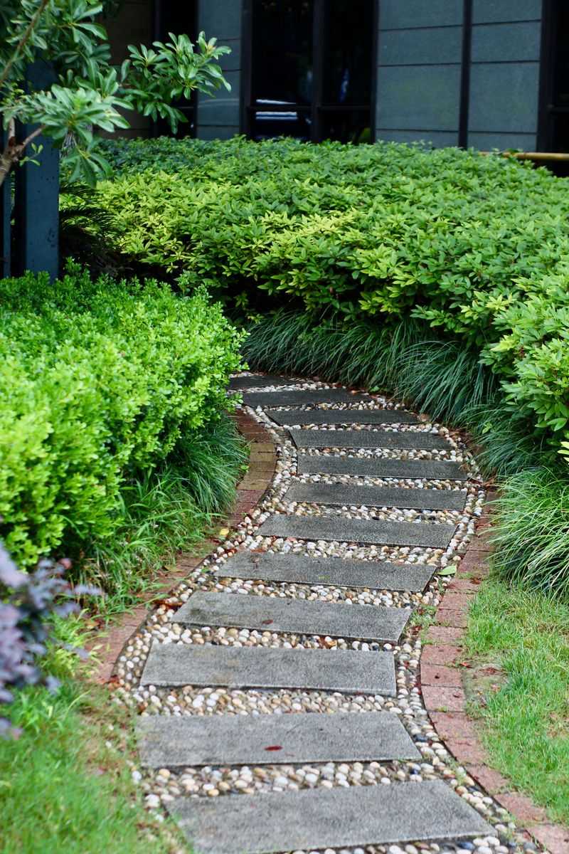 Planting Thick Hedges Or Brushy Borders Planting Thick Hedges Or Brushy Borders