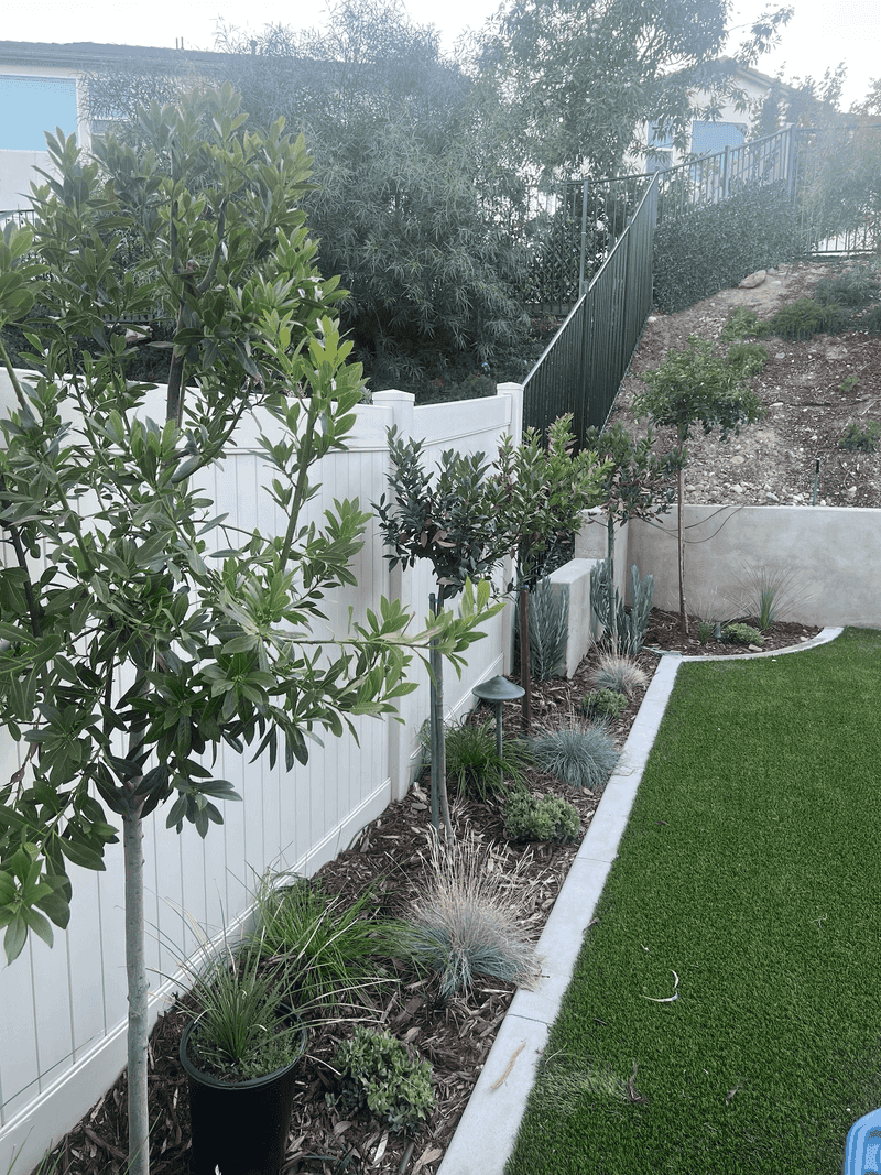 Planting Trees And Shrubs In Virginia Clay Soil