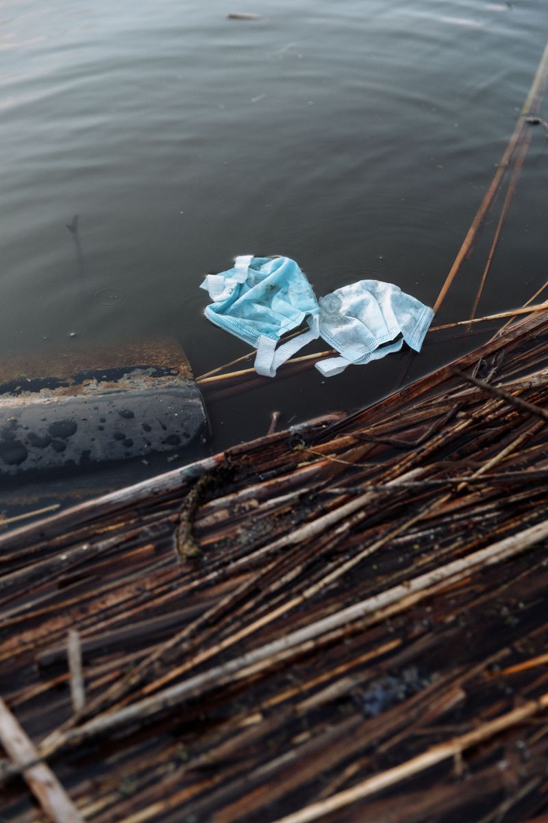 Pollution Keeps Degrading Bay Water Quality