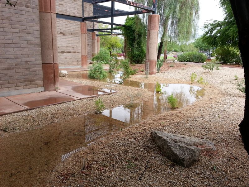 Poor Drainage Keeps Moisture Trapped Too Long Poor Drainage Keeps Moisture Trapped Too Long