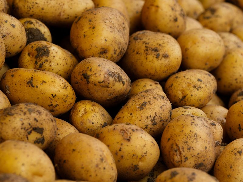 Potatoes Potatoes