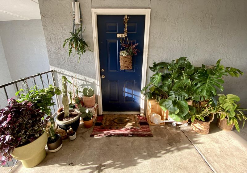 Potted Plants Still Count As Fuel Potted Plants Still Count As Fuel