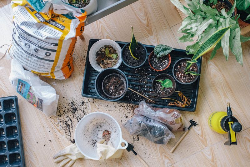 Potting Soil Labels Can Be Confusing Potting Soil Labels Can Be Confusing