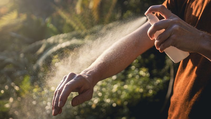 Practical Precautions For The Garden