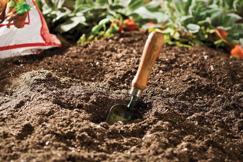Prepare Loose Stone-Free Soil Prepare Loose Stone-Free Soil