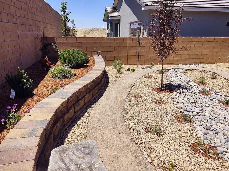 Prepare The Planting Site Before Bringing It Home